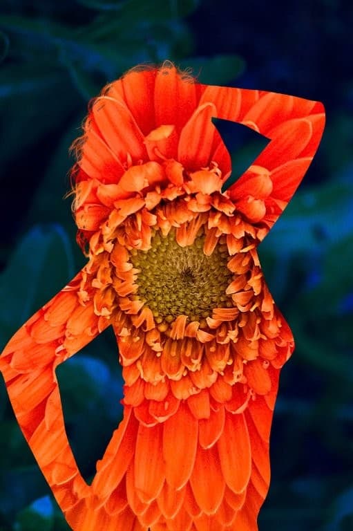 «Ανθίζω, Καρπίζω, προχωρώ» I Έκθεση φωτογραφίας Δέσποινας Κατσώχη I Εγκαίνια: Δευτέρα 9 Μαρτίου στις 18.30