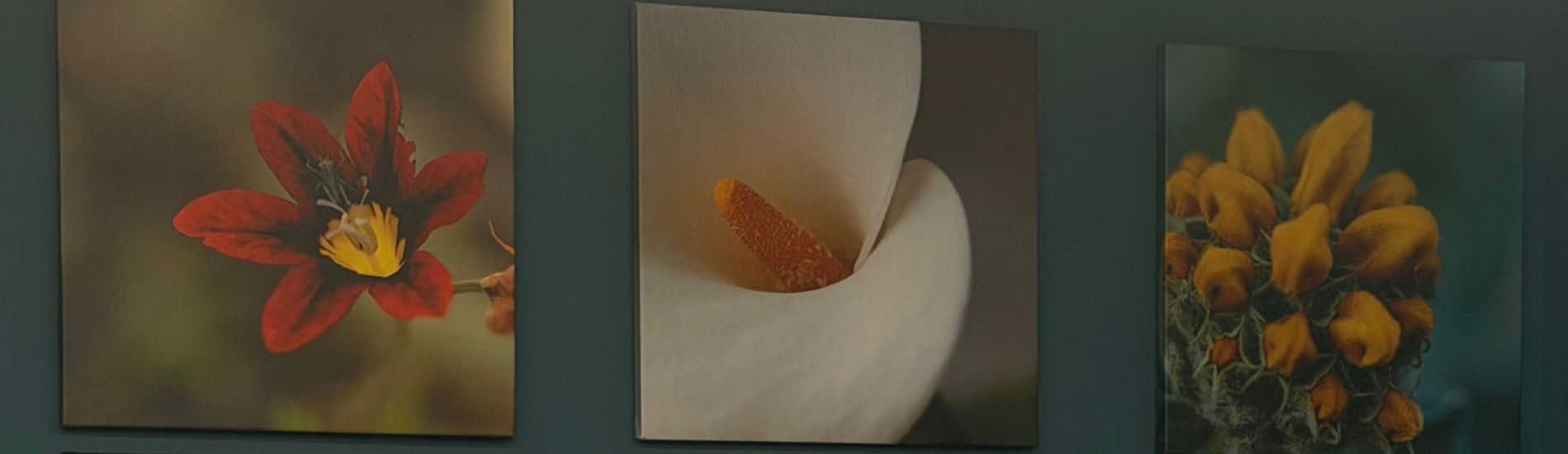 Φίλοι της ΑΚΟΣ ξεναγήθηκαν στην έκθεση «Ανθίζω Καρπίζω Προχωρώ»