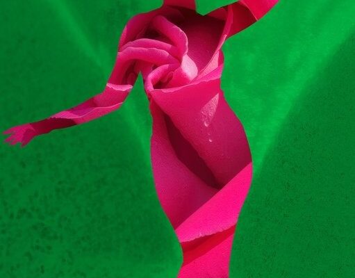 KATSOXI ERGO 1 KATSOXI ERGO 1