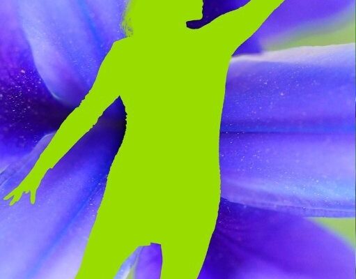 KATSOXI ERGO 2 KATSOXI ERGO 2