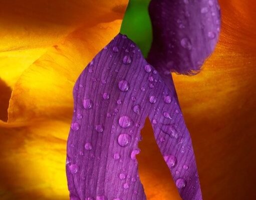 KATSOXI ERGO 4 KATSOXI ERGO 4