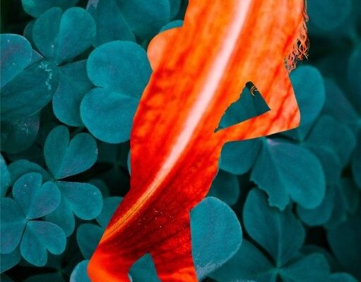 KATSOXI ERGO 5 KATSOXI ERGO 5