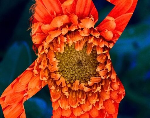 KATSOXI ERGO 6 KATSOXI ERGO 6