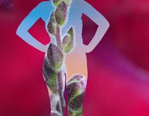 KATSOXI ERGO 7 KATSOXI ERGO 7