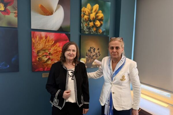 Περιουσία της ΕΣΗΕΑ τα φωτογραφικά έργα της Δρος Δέσποινας Κατσώχη
